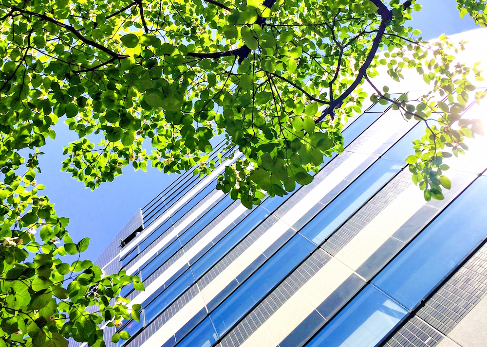 サブリース方式による不動産会社の設立